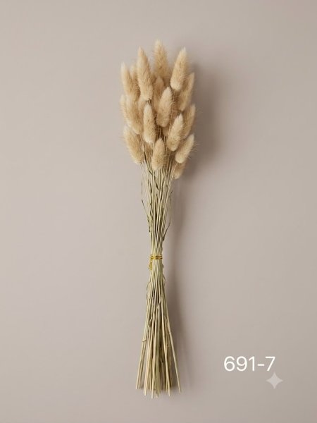 ورد ريش 7-691