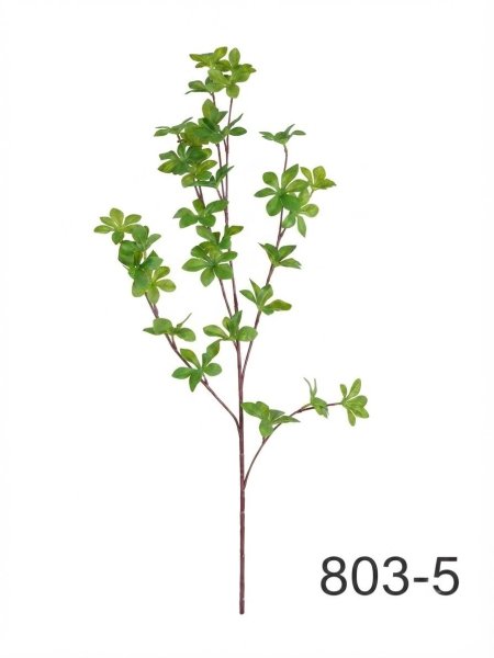 عرق ورد 803-5