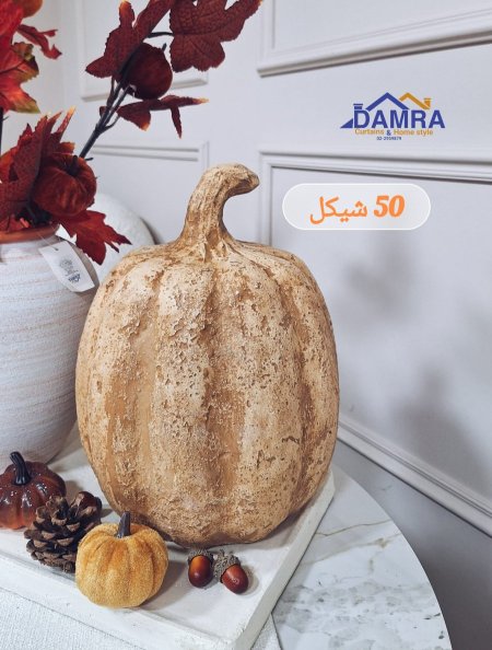 يقطينة كبير M.K