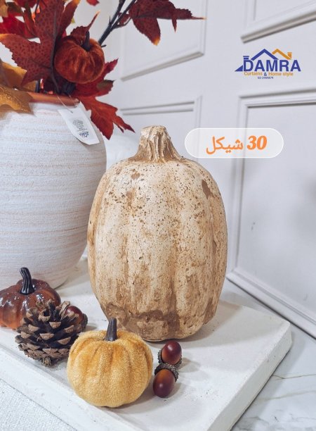 يقطينة وسط M.K
